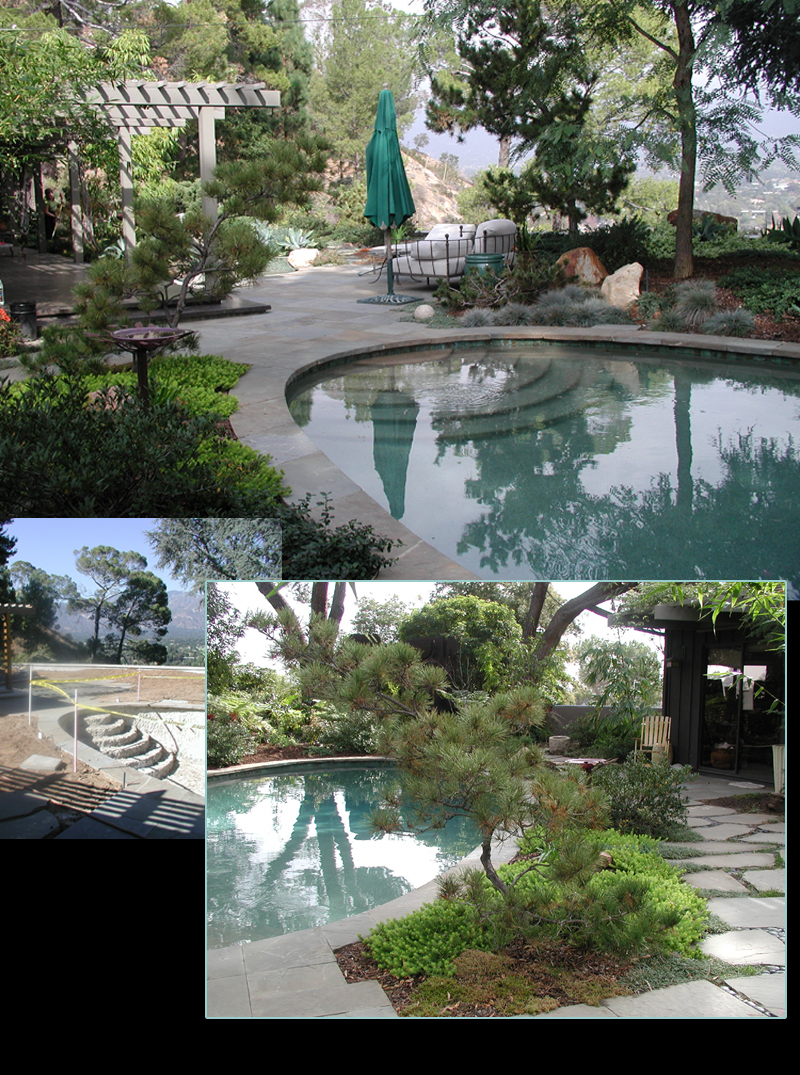 LSSPoolviewandguestWEB