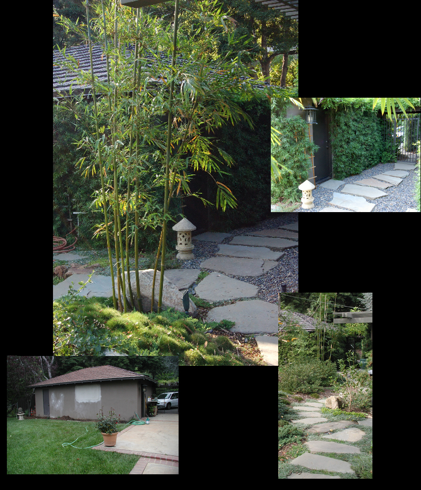 LSSbreezewaygardenWEB