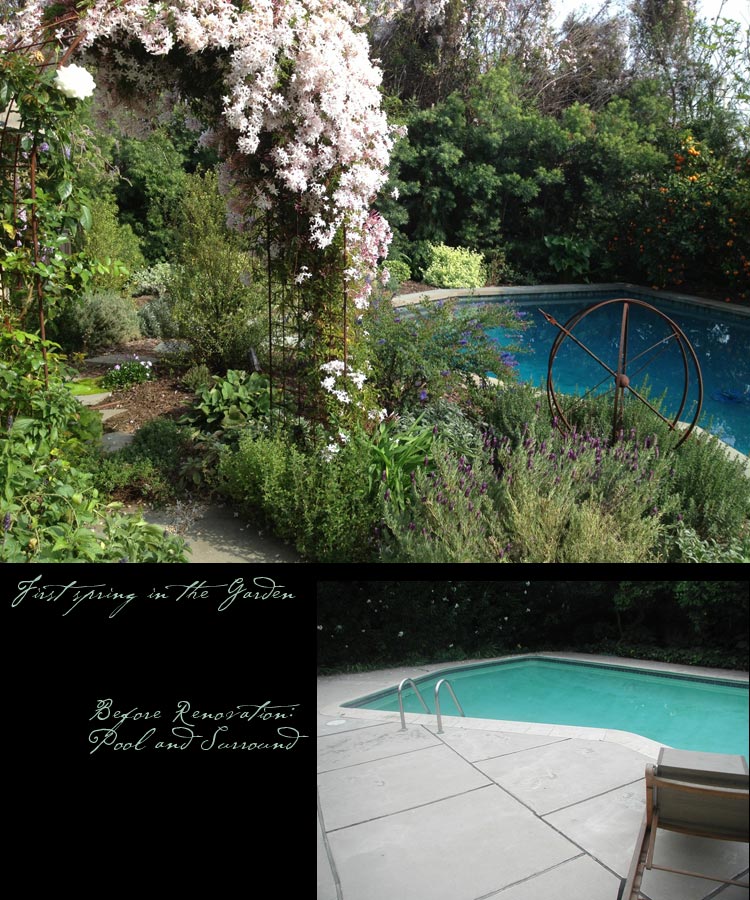 SanMarinoPoolRenovation
