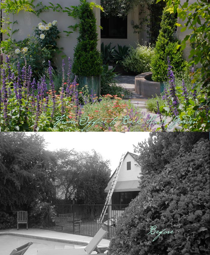 3_Darby_b&a_fromoffice