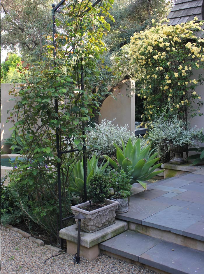 3a_Darby_BackGardenDetail